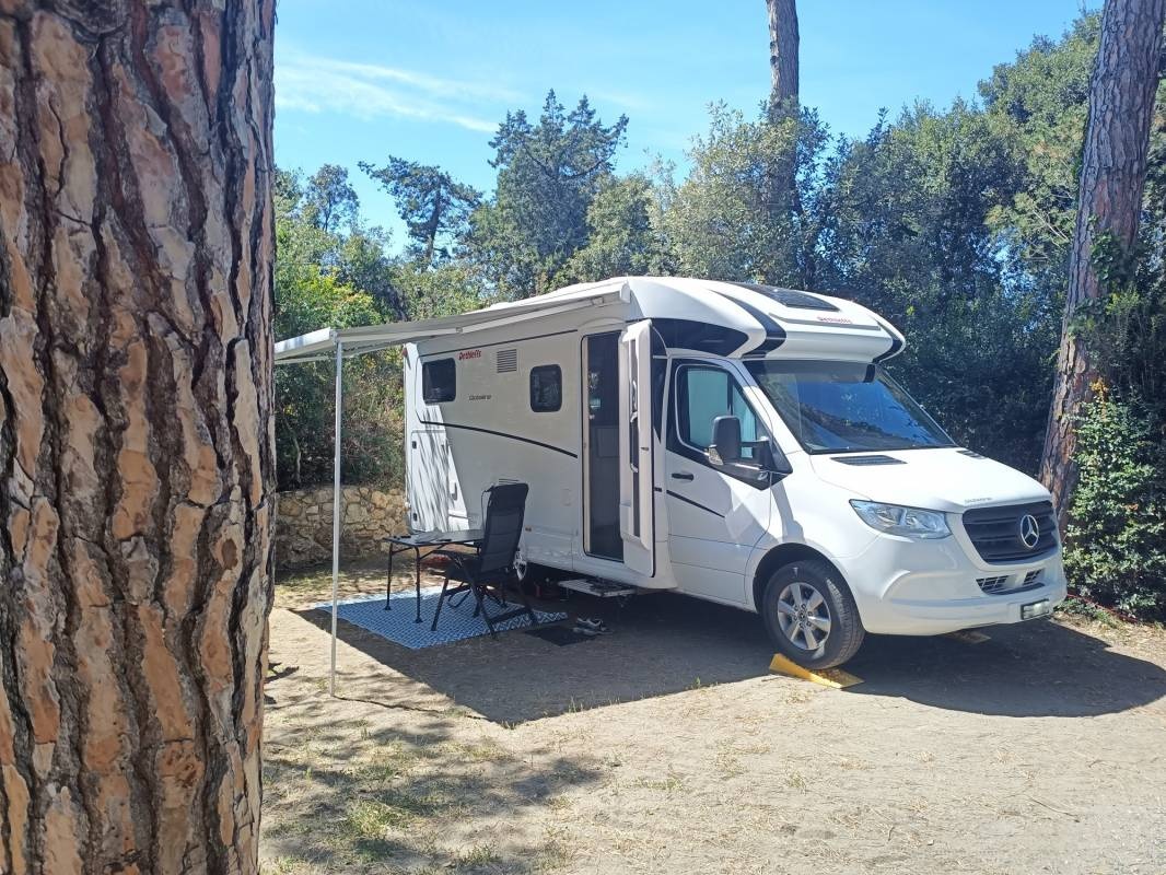 Campeggio Casa di Caccia — Campingplats in Marina di Bibbona