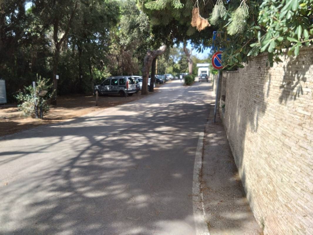 Campeggio Casa di Caccia — Camping in Marina di Bibbona