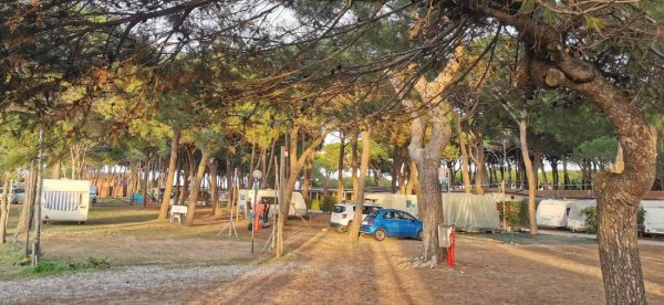 Camping Bocche d'Albegna — Photo 3