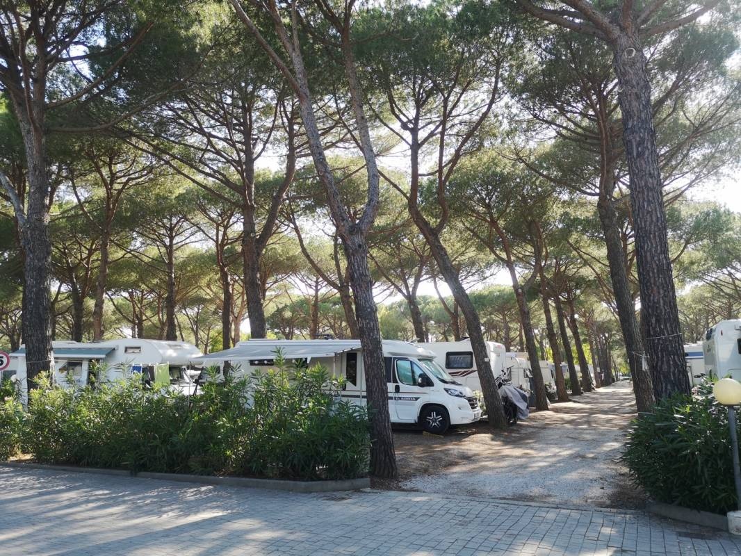 Camping Village Mareblu — Camping in La Mazzanta