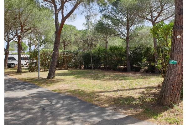 Camping Le Gorette — Campingplass in Cecina