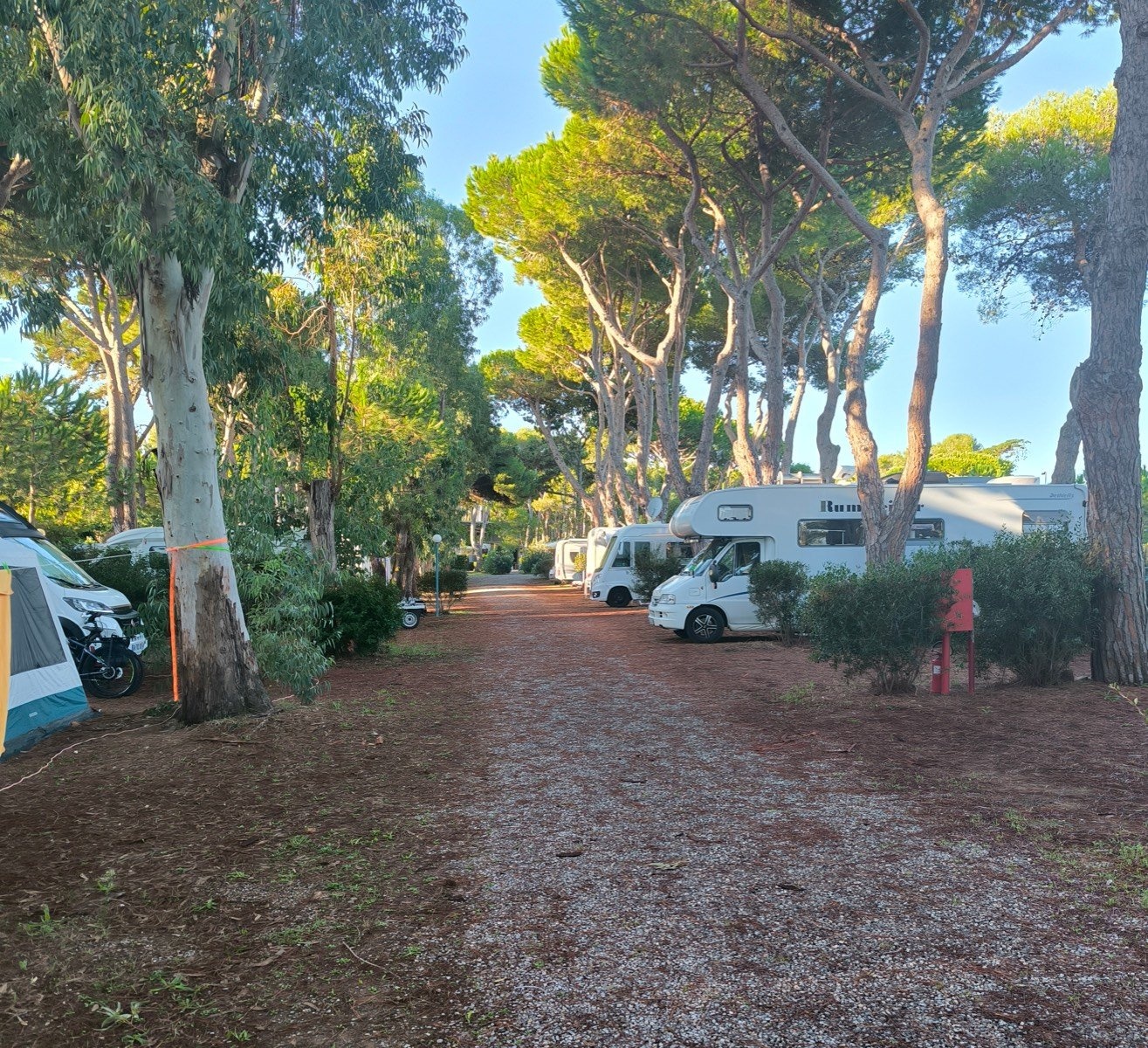 Giannella Camping — Sítio de acampamento in Orbetello