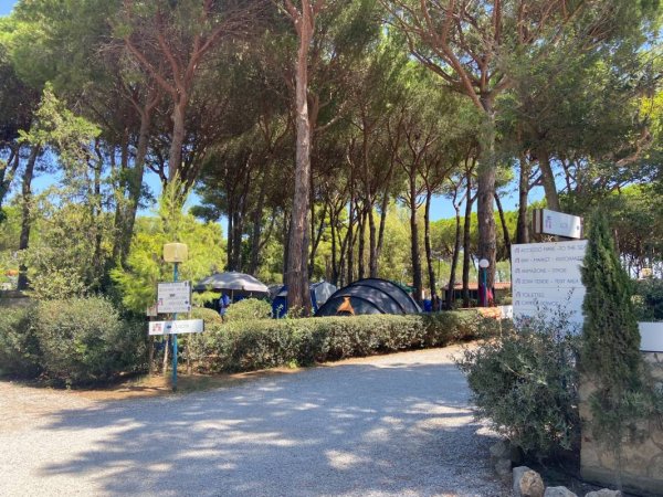 Giannella Camping — Photo 2