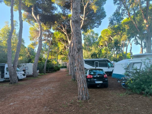 Giannella Camping — Photo 4
