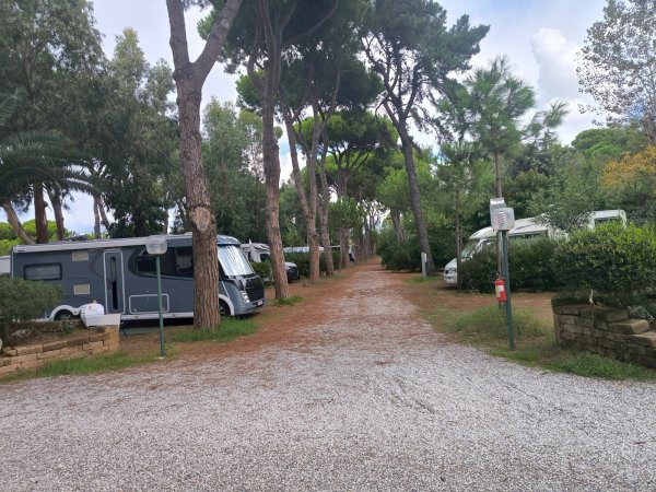 Giannella Camping — Photo 6