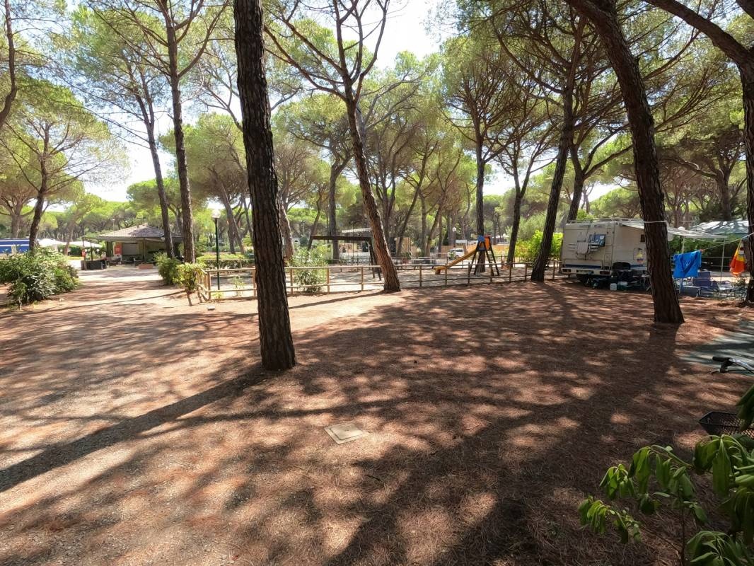 Camping La Principina — Kemping in Principina a Mare
