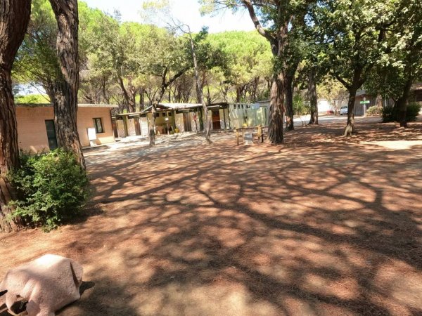 Camping La Principina — Photo 3