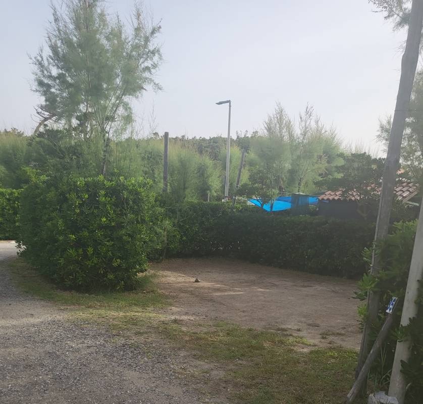 Campeggio Bocca di Cecina — Campingplats in Marina di Cecina