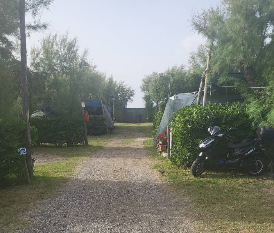 Campeggio Bocca di Cecina — Camping in Marina di Cecina