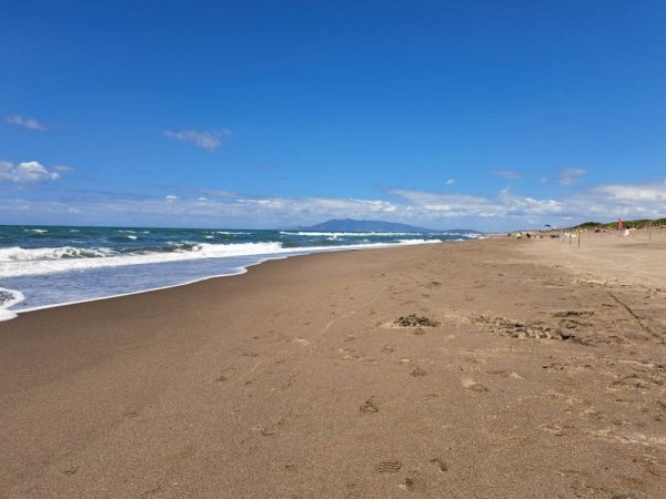 Campeggio Capalbio — Photo 2