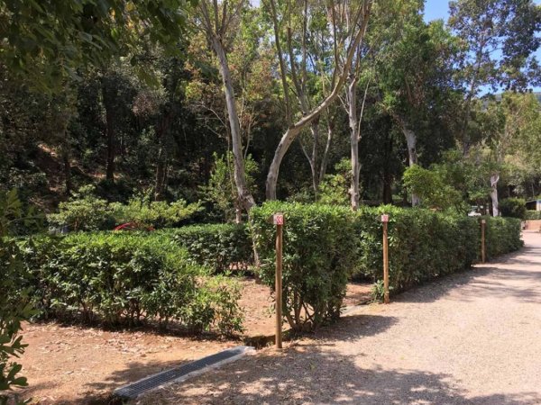 Elbadoc Camping Village — Photo 3