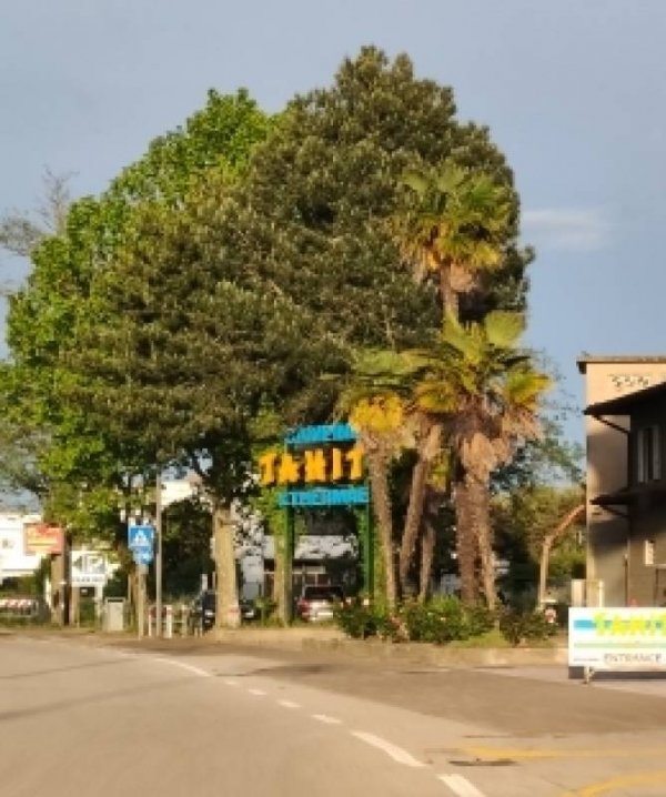 Camping Tahiti — Photo 4