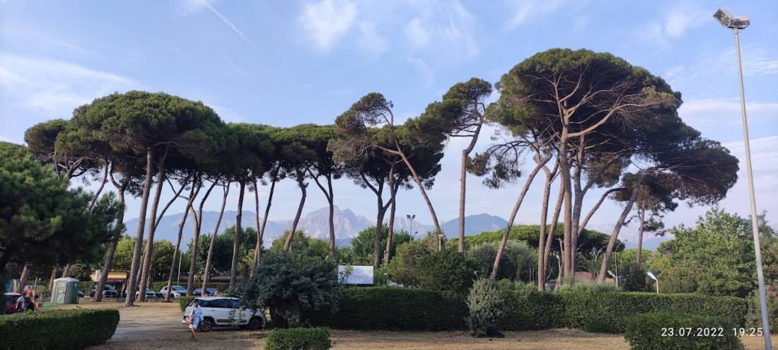 Camping Luna — Campingplats in Marina di Massa