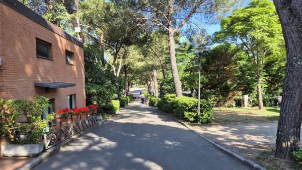 Camping Village Il Poggetto — Photo 6