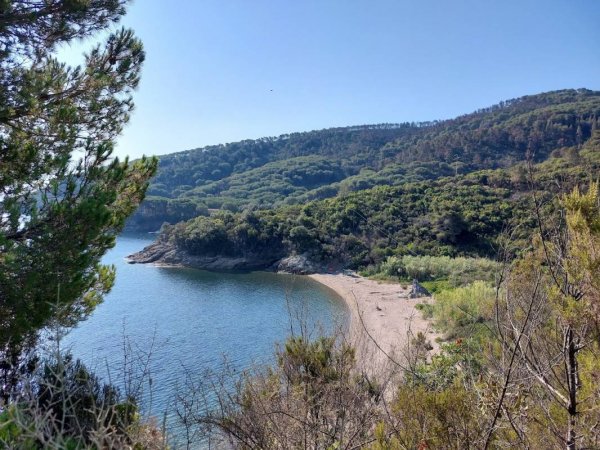 Camping Lido — Photo 2