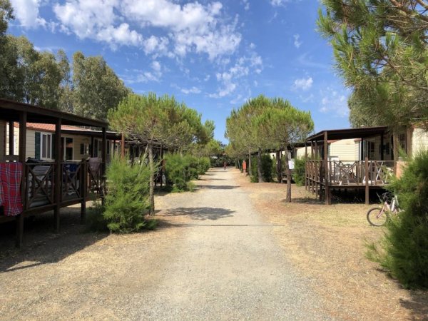 New Camping Le Tamerici — Photo 3