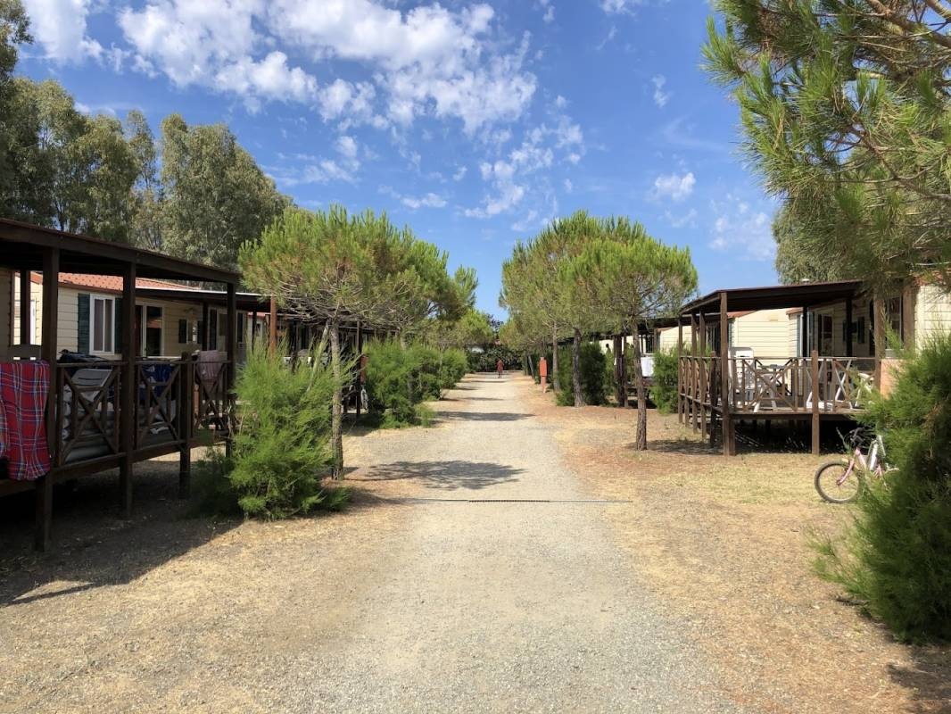 New Camping Le Tamerici — Campingplass in Cecina