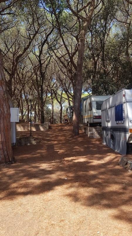 Camping Village Oasi — Kemping in Albinia