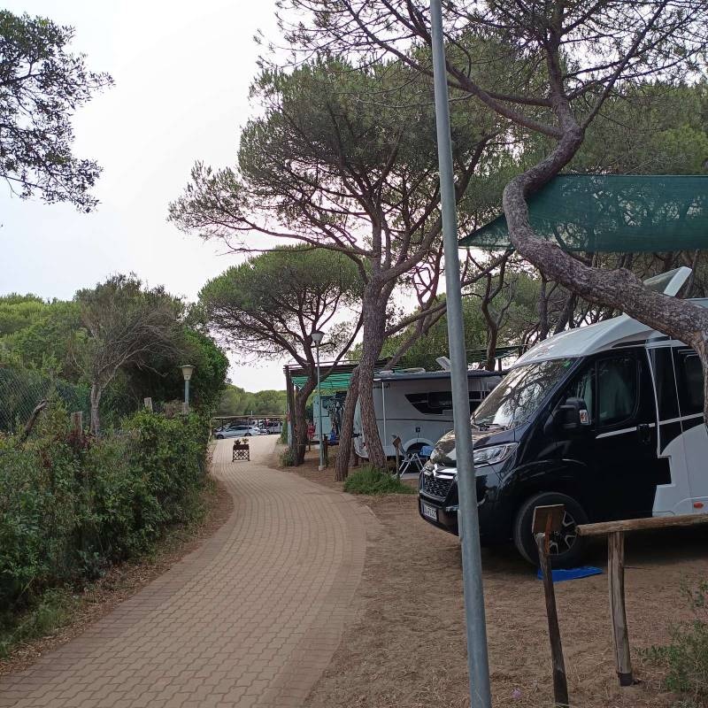 Camping Internazionale Etruria — Camping Site in Le Marze