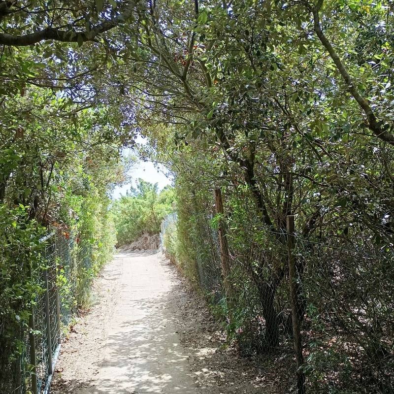Camping Internazionale Etruria — Area da campeggio in Le Marze