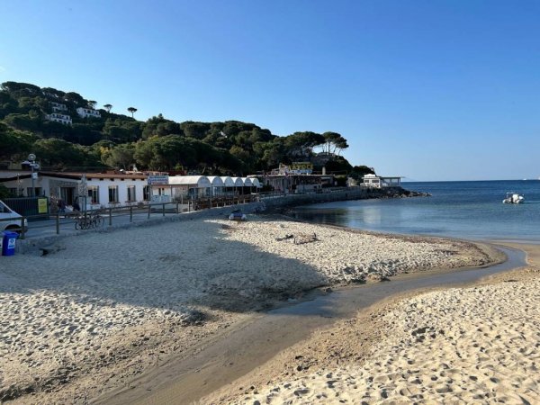 Camping La Foce — Photo 2