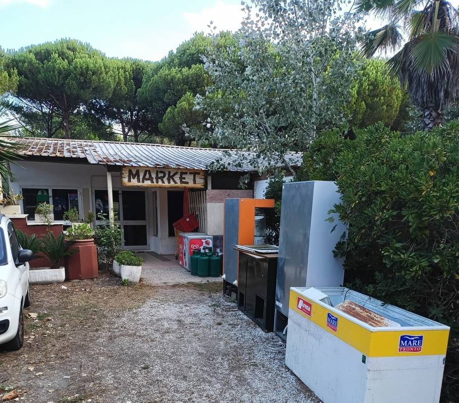 Camping Internazionale — Kemping in Marina di Pisa