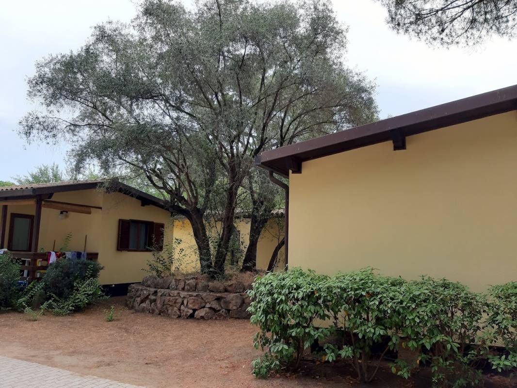 Camping Hawaii — Campingplats in Albinia