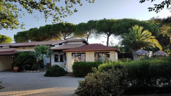 Camping Hawaii — Photo 2