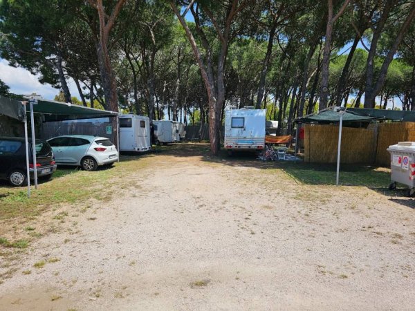 Camping Ideal — Photo 2