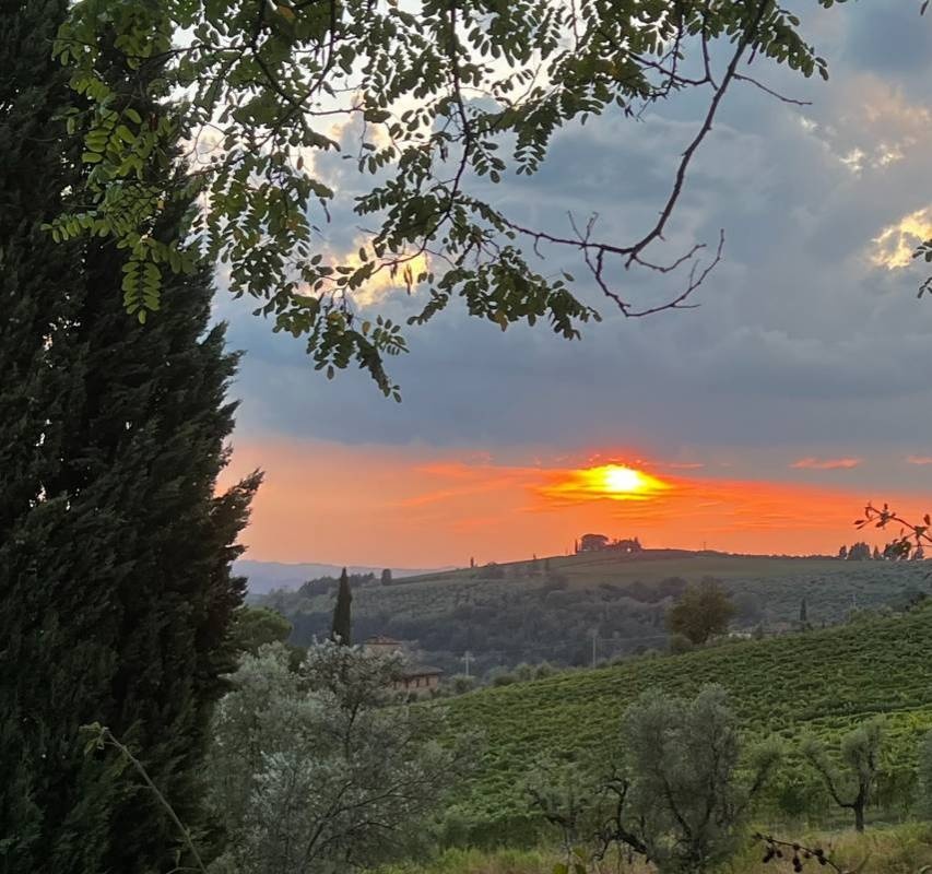 Camping Panorama del Chianti — Campingplats in Certaldo