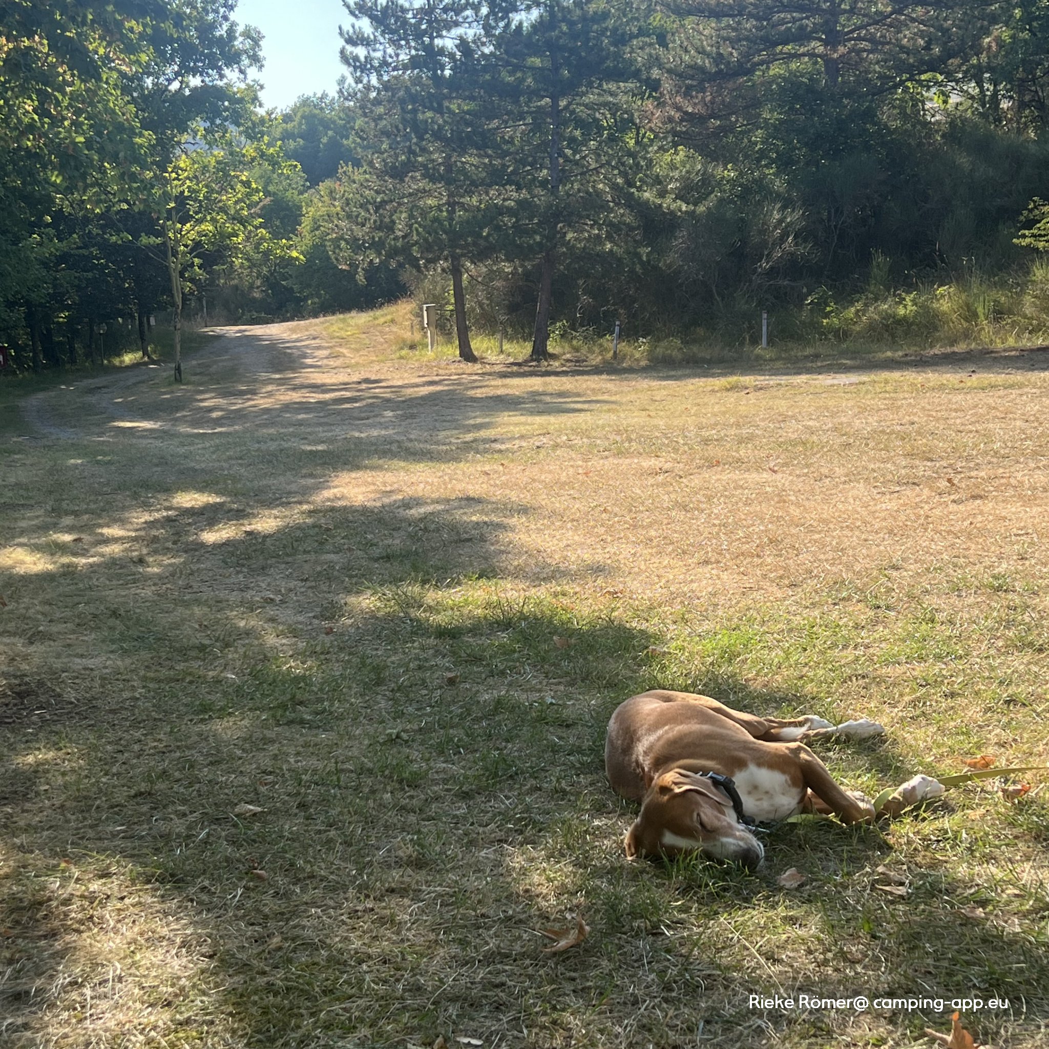 Camping Falterona — Fotografie 3