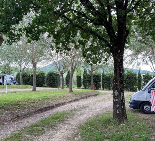 Camping Le Ginestre — Photo 3