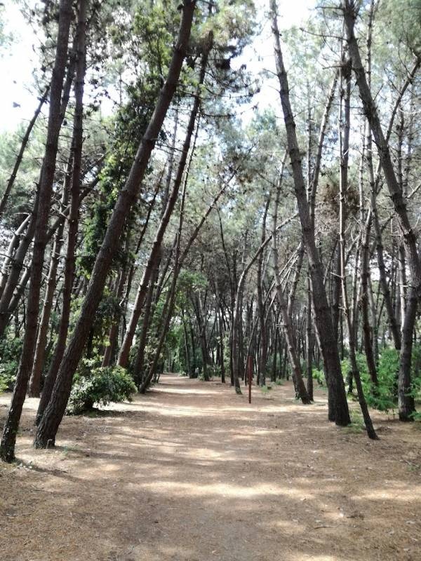 Camping Souvenir — Campingplads in Marina Di Massa