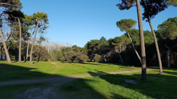 Camping Souvenir — Photo 2