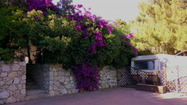 Camping Croce del Sud — Photo 2