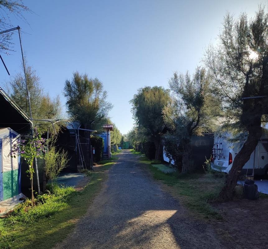 Camping Rada Etrusca — Camping in Vada