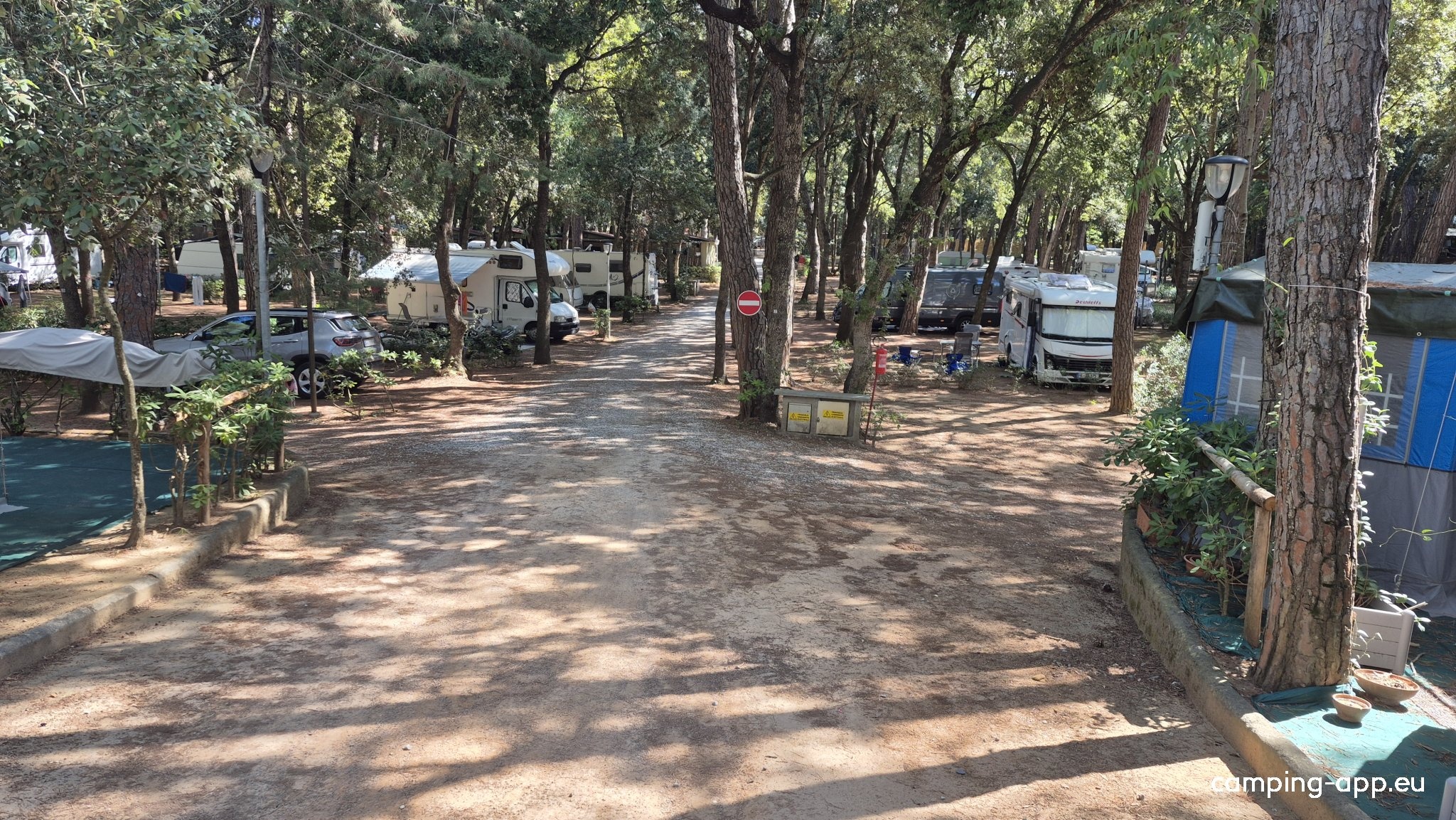 Camping Belmare — Sítio de acampamento in Marina di Castagneto