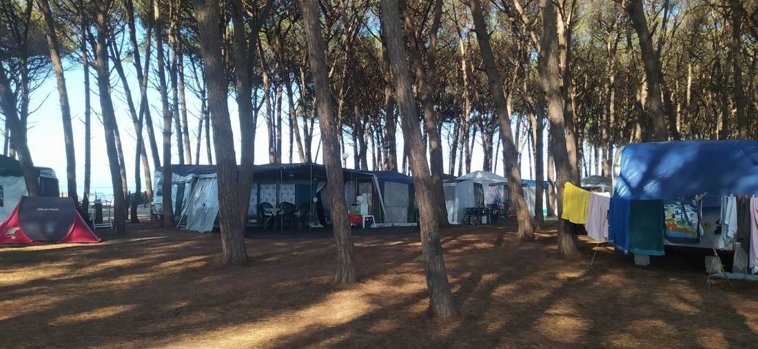 Camping La Pineta — Camping in Viareggio