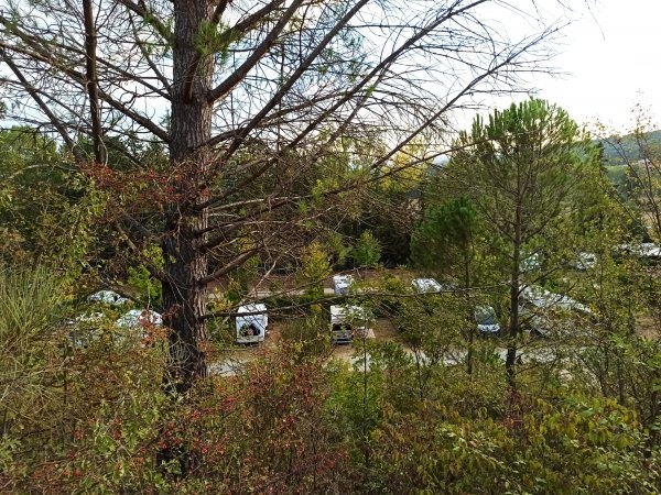 Camping Il Treccolo — Cámping in San Giovanni D'asso