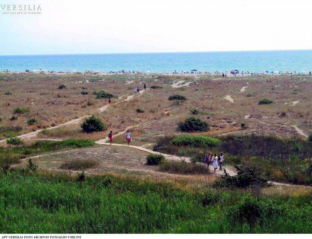 Bosco Verde Camping — Campingplatz in Torre del Lago Puccini