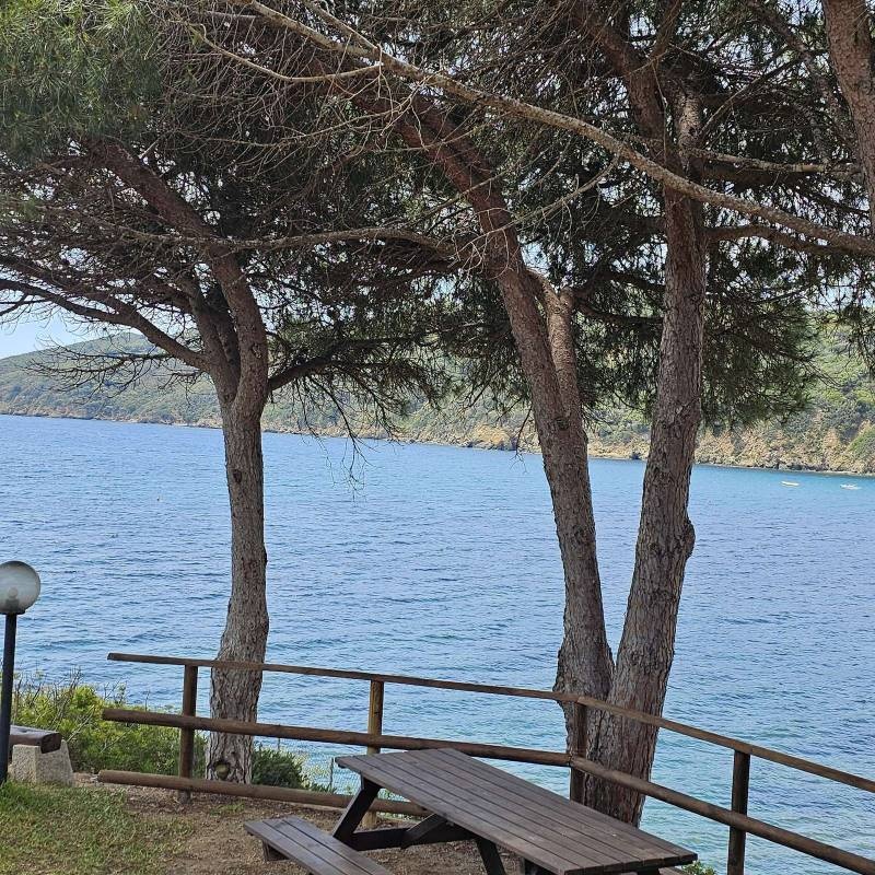 Camping La Riccia — Kemping in Lacona