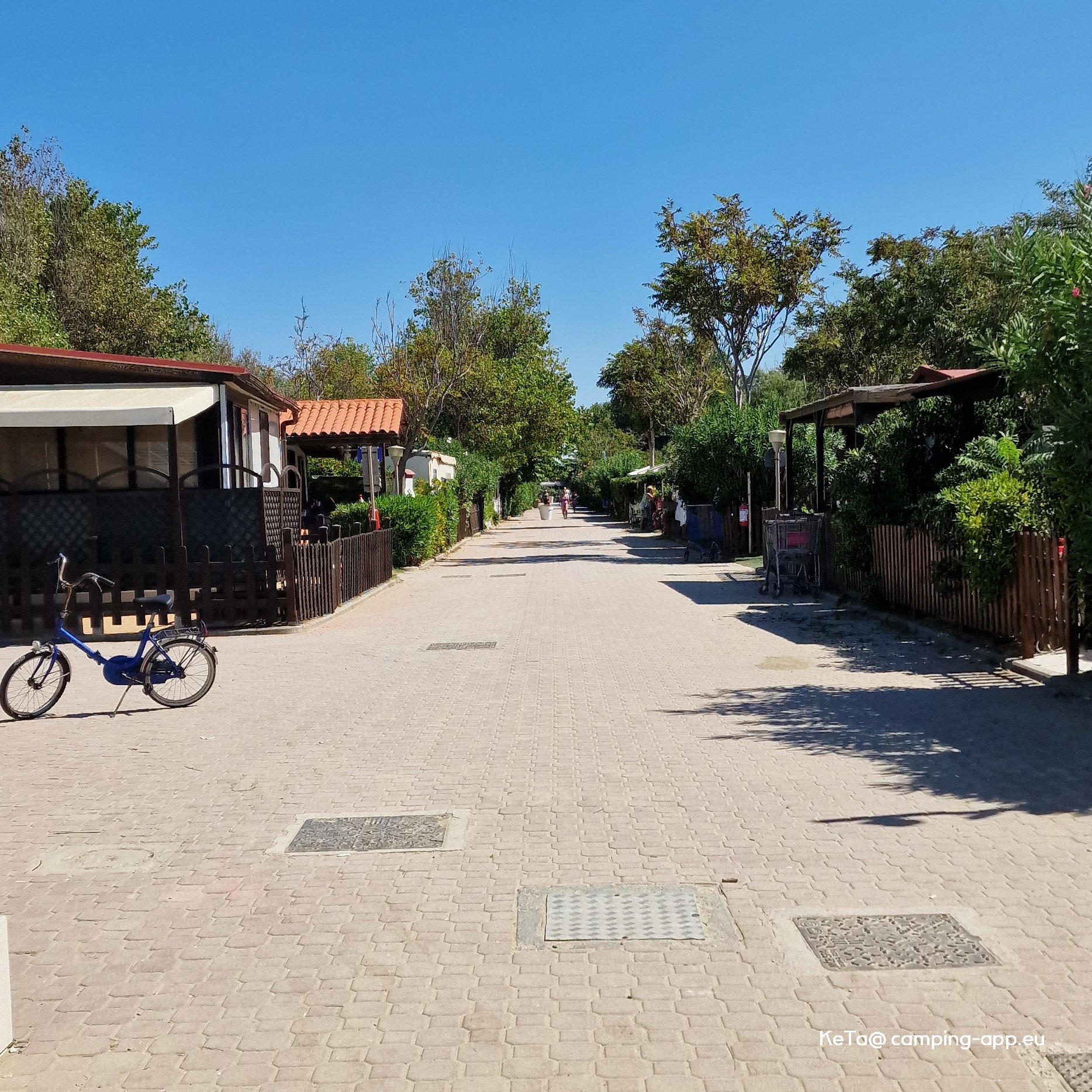 Camping Mare e Sole — Camping Site in Calambrone Tirrenia