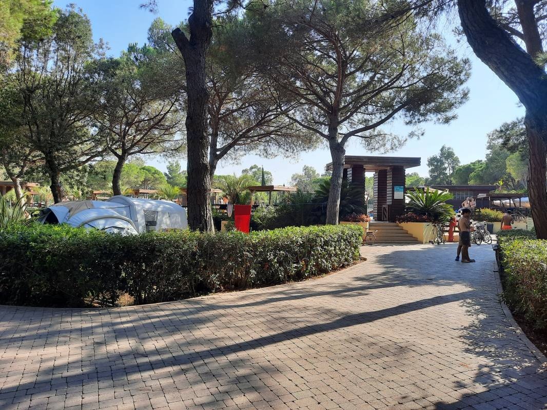 Camping Campo dei Fiori — Camping Site in Vada