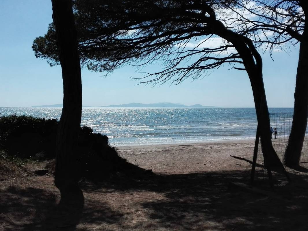 Camping Riva dei Butteri — Camping Site in Scarlino