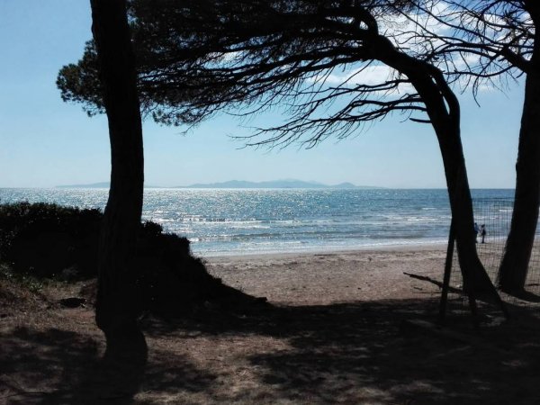Camping Riva dei Butteri — Zdjęcie 3