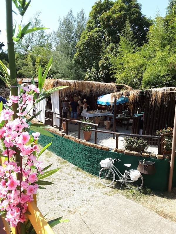 Camping Dotel Versilia Country Club — Kemp in Piano di Mommio