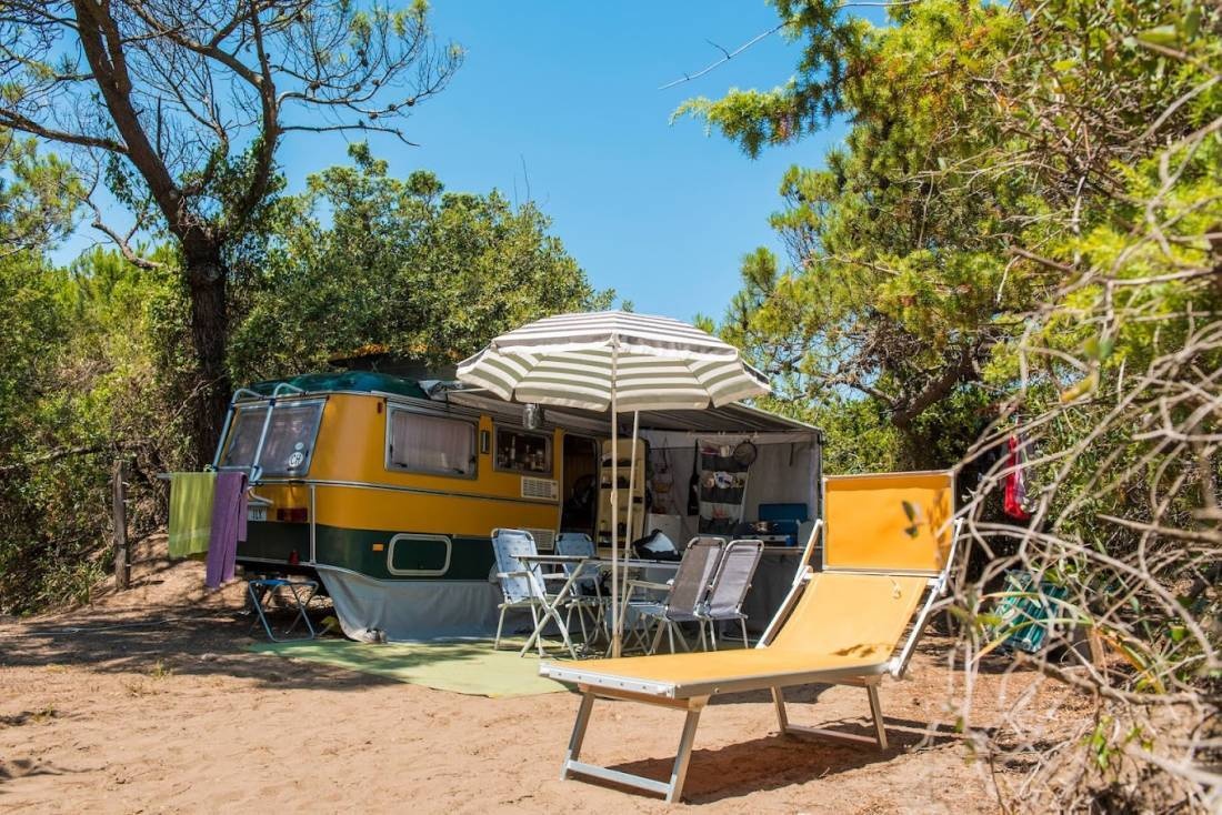 Camping Continental — Camping Site in Castagneto Carducci
