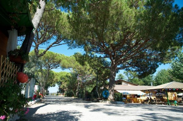 Camping Piper — Photo 2