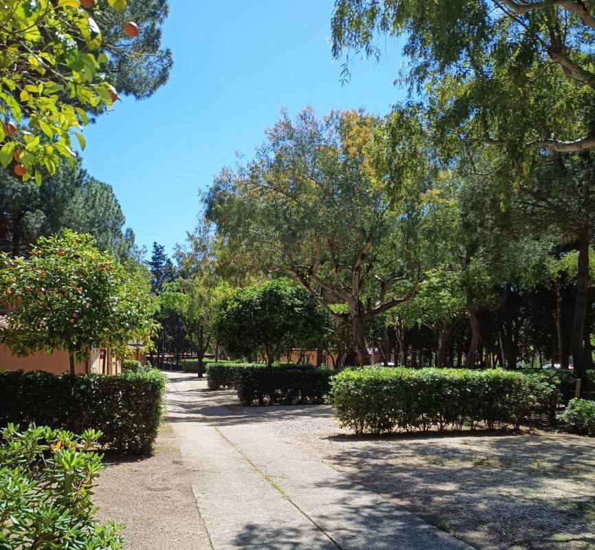 Camping Arrighi — Місце для кемпінгу in Porto Azzurro