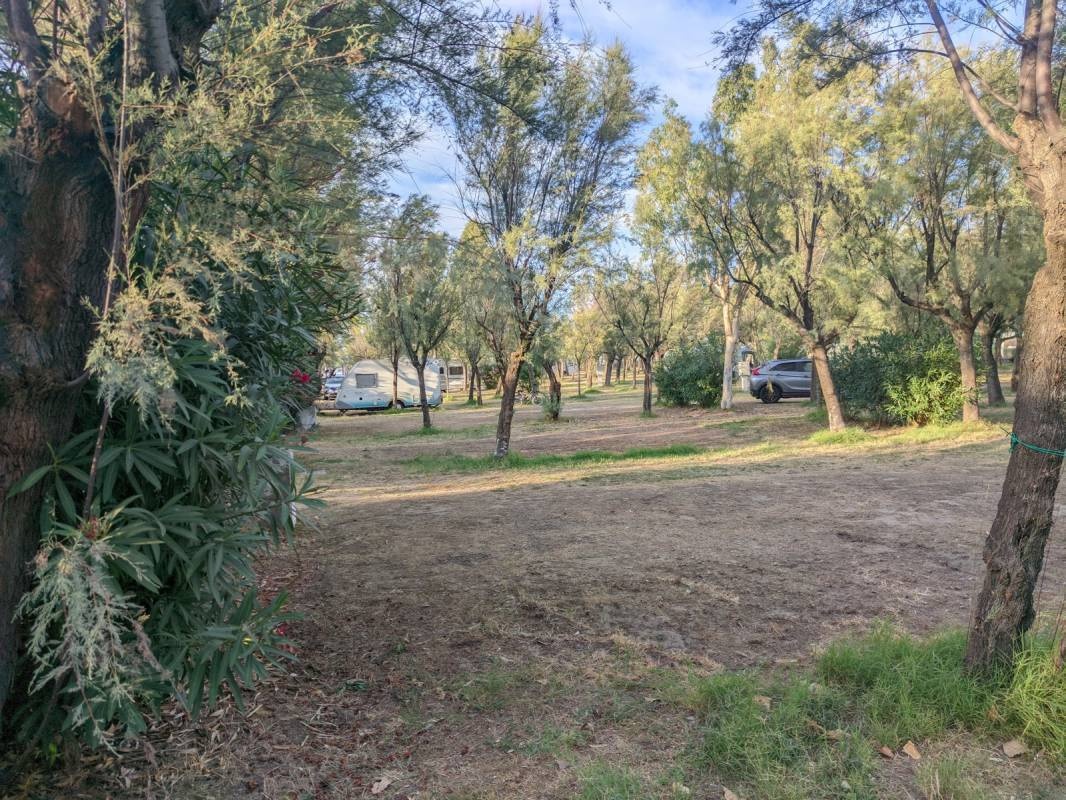 Camping Village Centro Vacanze Molise — Camping Site in Montenero di Bisaccia